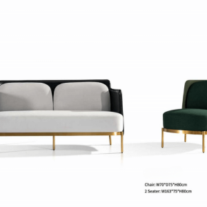 Modern Sofa Set