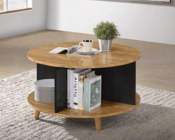 Storage Coffee Table