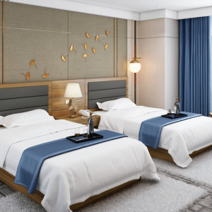 Hotels Appartments Suites