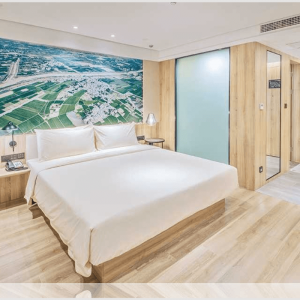 Hotels Appartments Suites