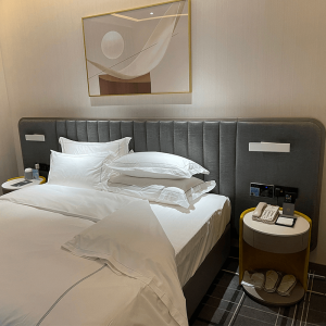 Hotels Appartments Suites