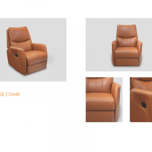 Modern Single Seater Lounge Chair