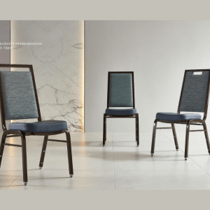Venue Banquet Chairs